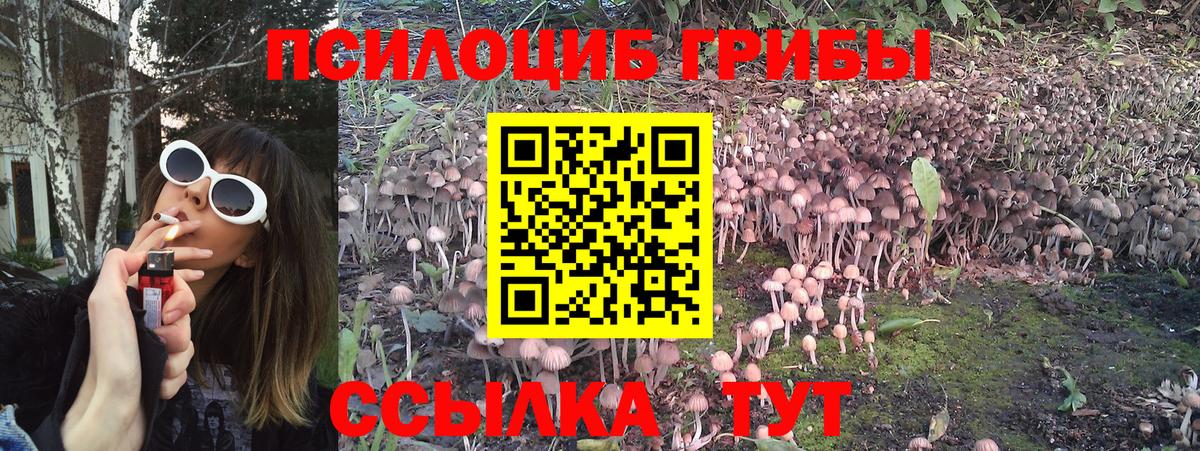 Псилоцибиновые грибы мухоморы Кыштым